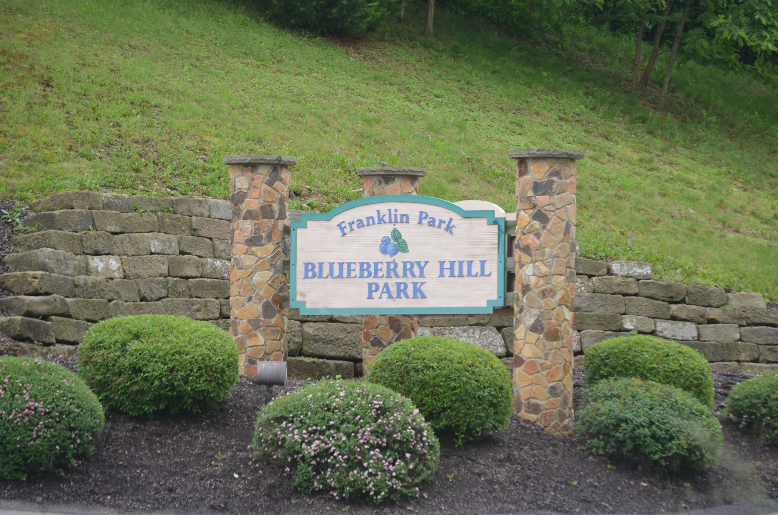 Blueberry Hill Park