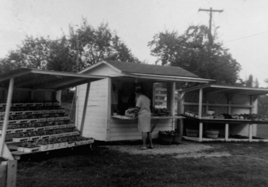 Soergel Orchard's First Fruit Stand