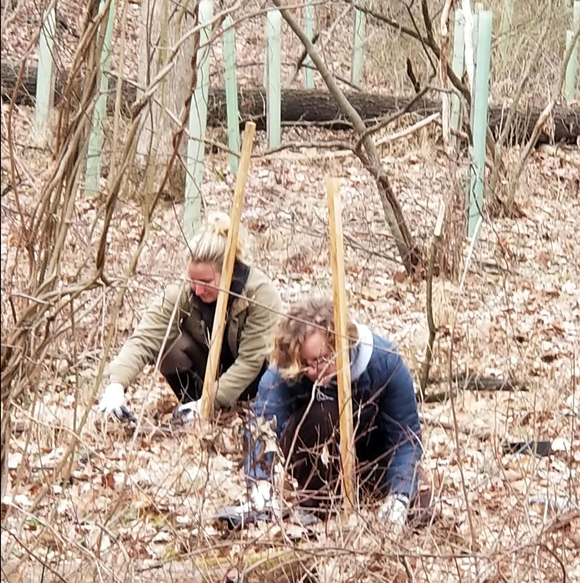 2025 Green Up Day - Photo 1