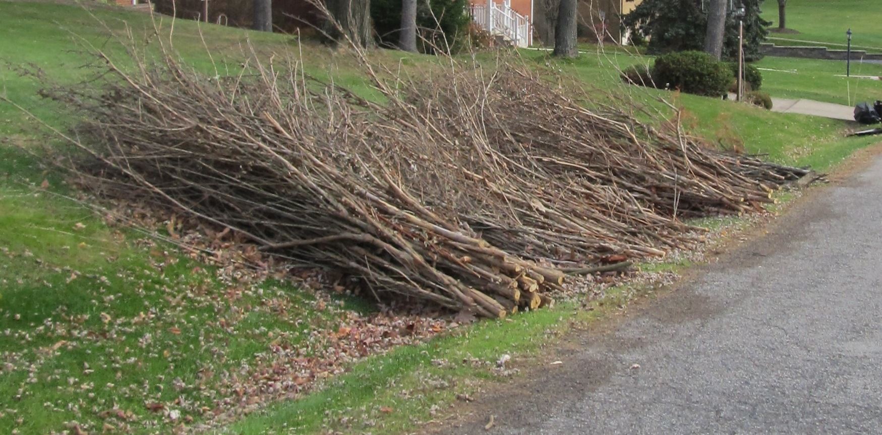 Brush Picture - Correct Placement