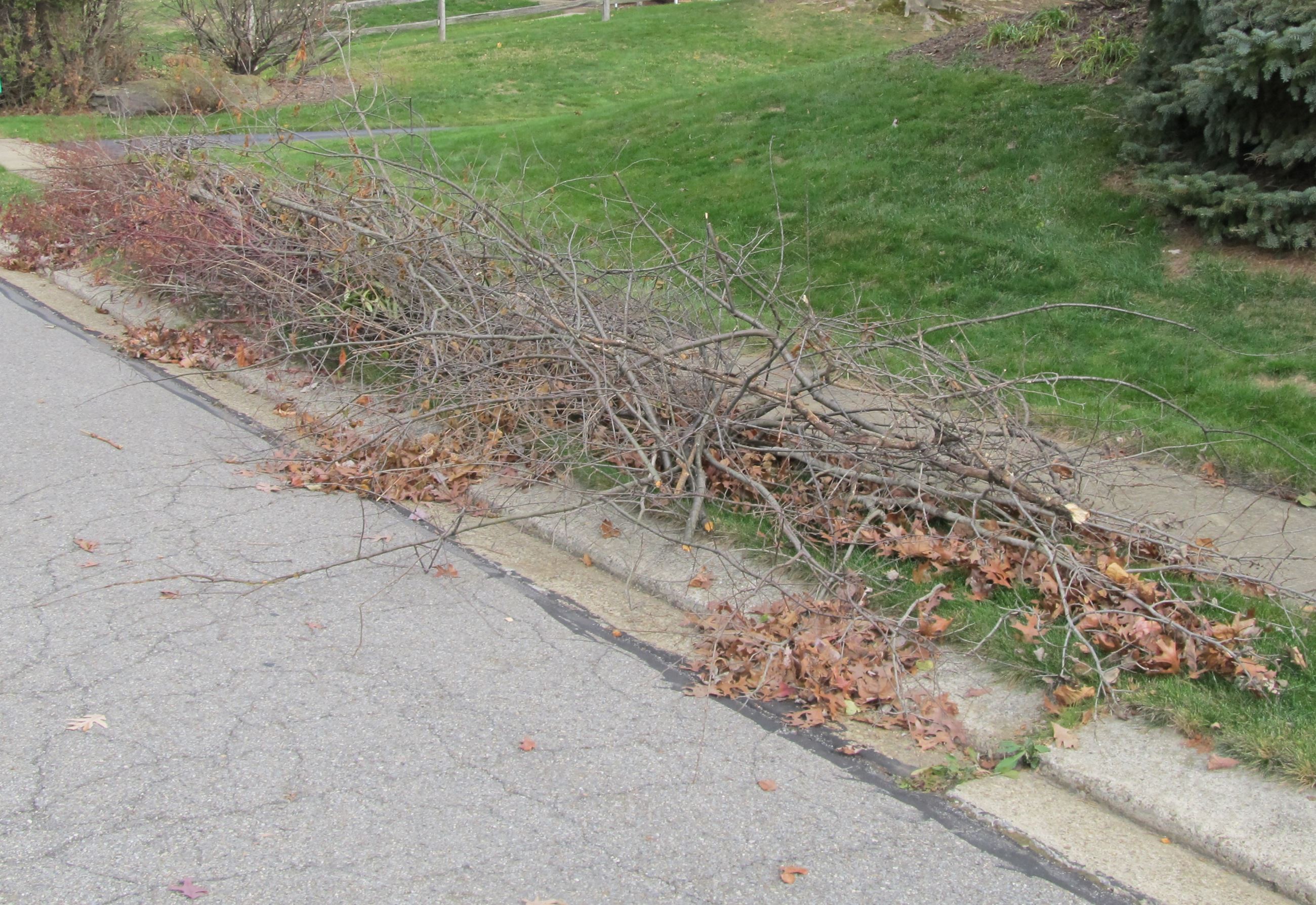 Brush Picture - Improper Placement 2